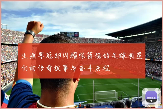 生涯零冠却闪耀绿茵场的足球明星们的传奇故事与奋斗历程