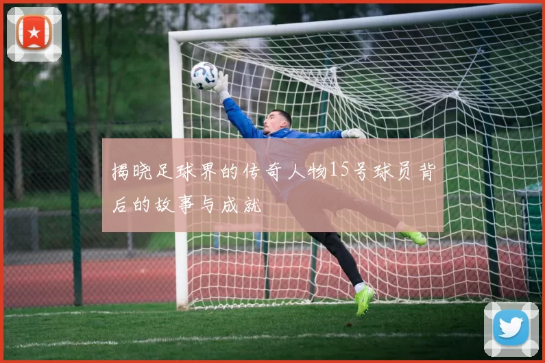 揭晓足球界的传奇人物15号球员背后的故事与成就