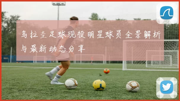 乌拉圭足球现役明星球员全景解析与最新动态分享