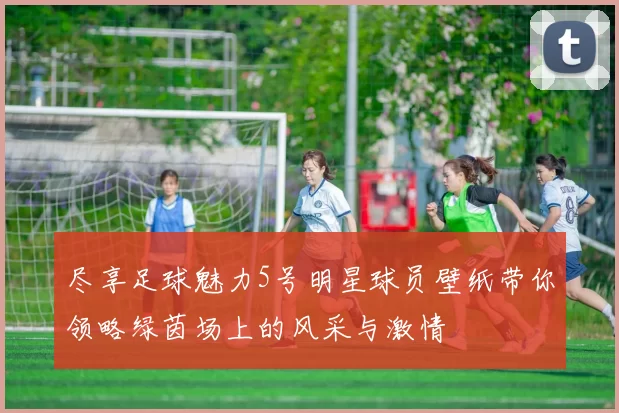 尽享足球魅力5号明星球员壁纸带你领略绿茵场上的风采与激情