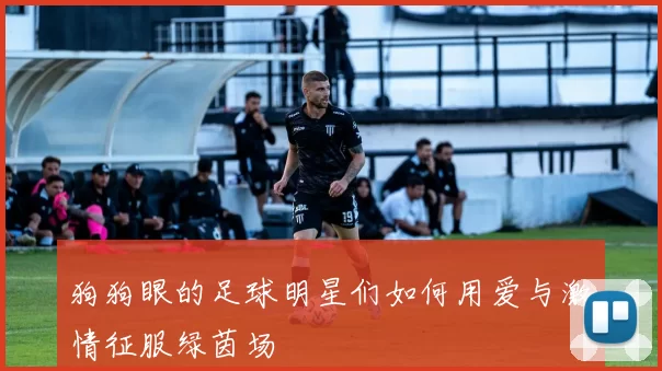 狗狗眼的足球明星们如何用爱与激情征服绿茵场