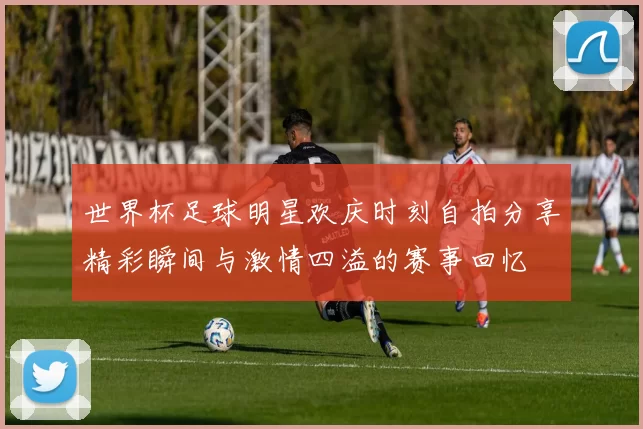 世界杯足球明星欢庆时刻自拍分享精彩瞬间与激情四溢的赛事回忆