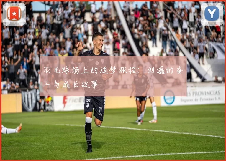 羽毛球场上的追梦旅程：刘磊的奋斗与成长故事