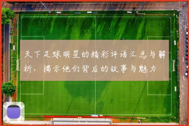 天下足球明星的精彩评语汇总与解析，揭示他们背后的故事与魅力