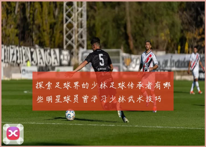 探索足球界的少林足球传承者有哪些明星球员曾学习少林武术技巧