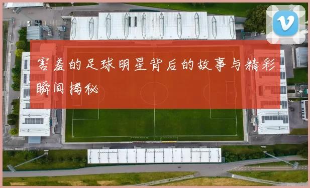 害羞的足球明星背后的故事与精彩瞬间揭秘