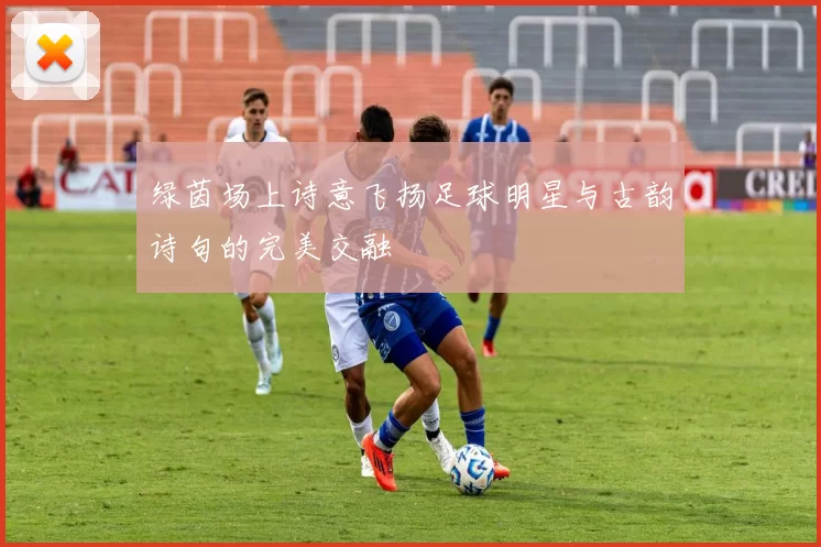 绿茵场上诗意飞扬足球明星与古韵诗句的完美交融