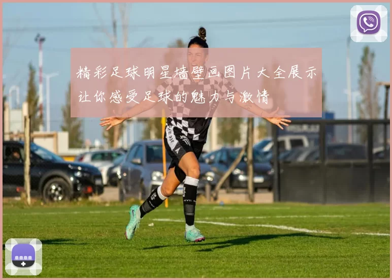 精彩足球明星墙壁画图片大全展示让你感受足球的魅力与激情