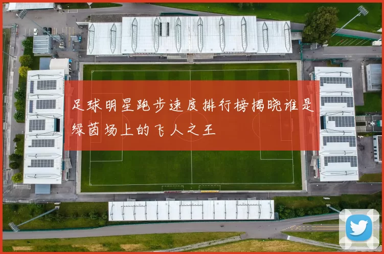 足球明星跑步速度排行榜揭晓谁是绿茵场上的飞人之王