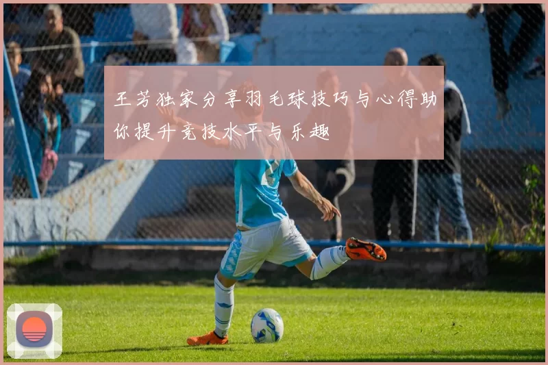 王芳独家分享羽毛球技巧与心得助你提升竞技水平与乐趣