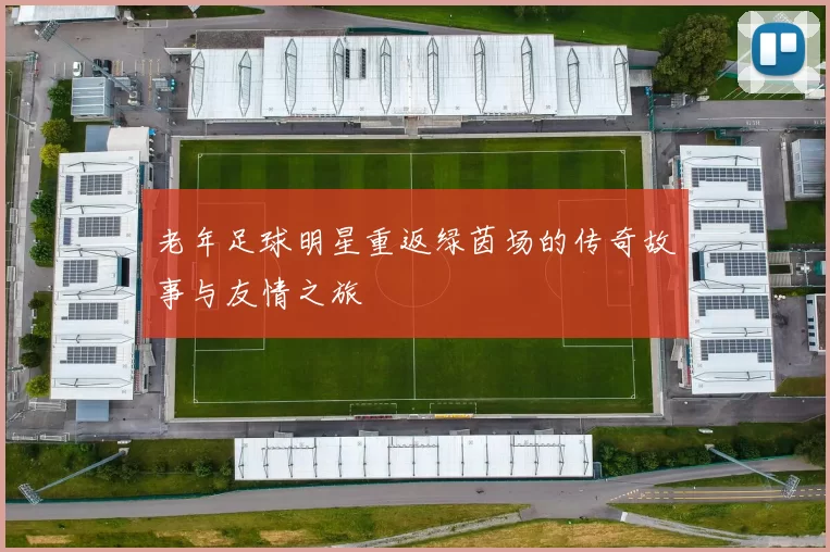 老年足球明星重返绿茵场的传奇故事与友情之旅