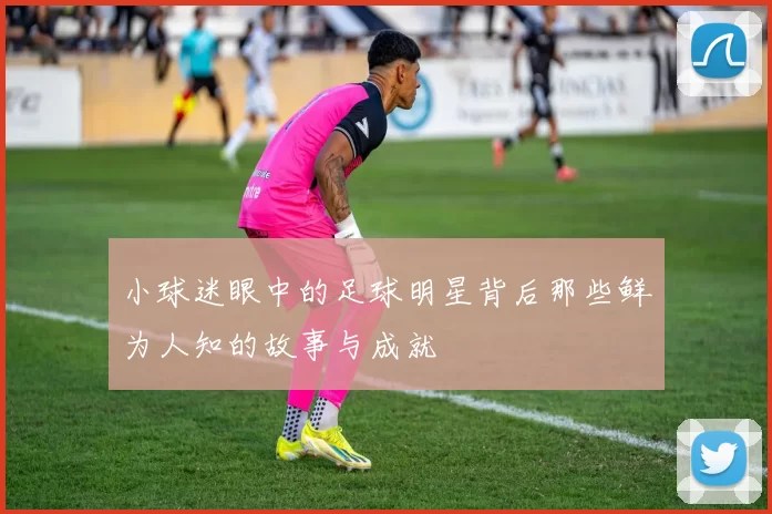 小球迷眼中的足球明星背后那些鲜为人知的故事与成就