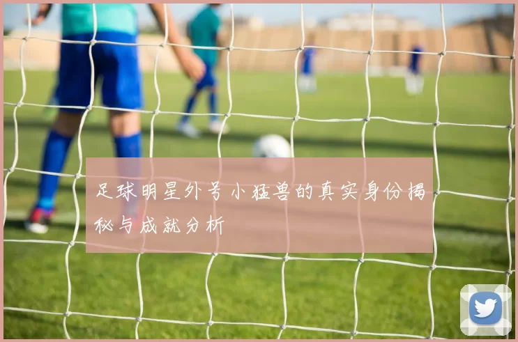 足球明星外号小猛兽的真实身份揭秘与成就分析