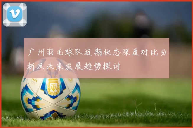 广州羽毛球队近期状态深度对比分析及未来发展趋势探讨