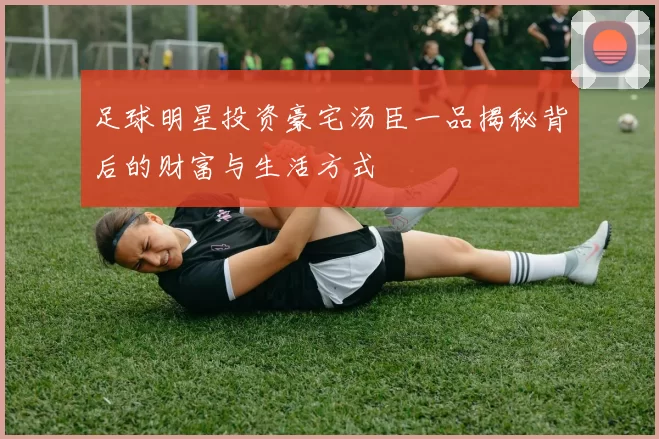 足球明星投资豪宅汤臣一品揭秘背后的财富与生活方式