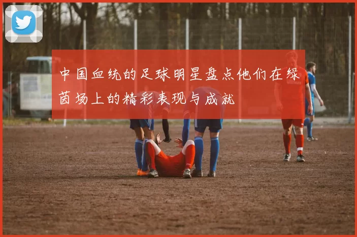 中国血统的足球明星盘点他们在绿茵场上的精彩表现与成就