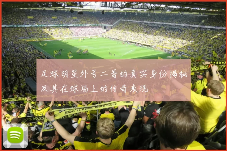 足球明星外号二哥的真实身份揭秘及其在球场上的传奇表现