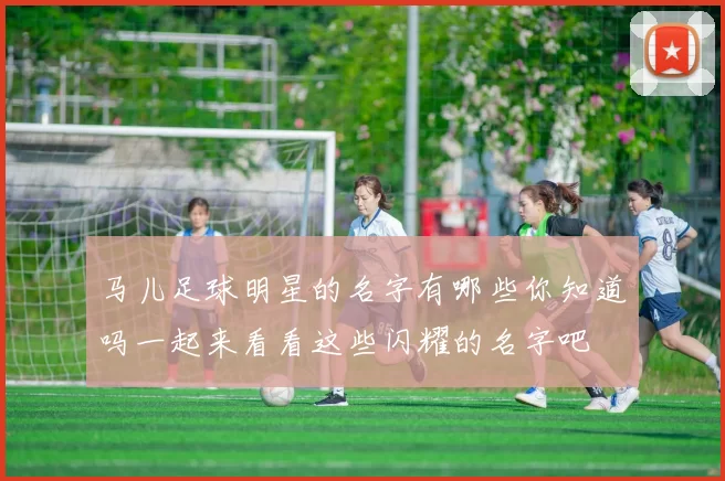 马儿足球明星的名字有哪些你知道吗一起来看看这些闪耀的名字吧